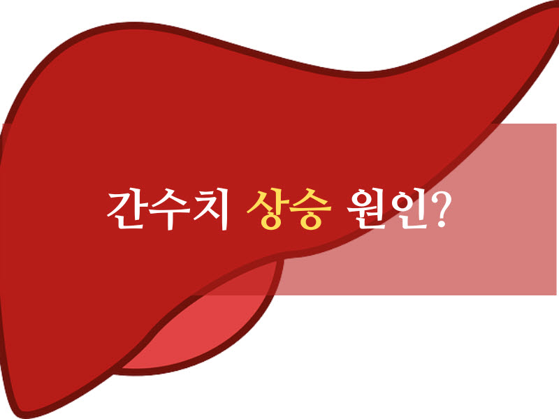 간수치 상승원인